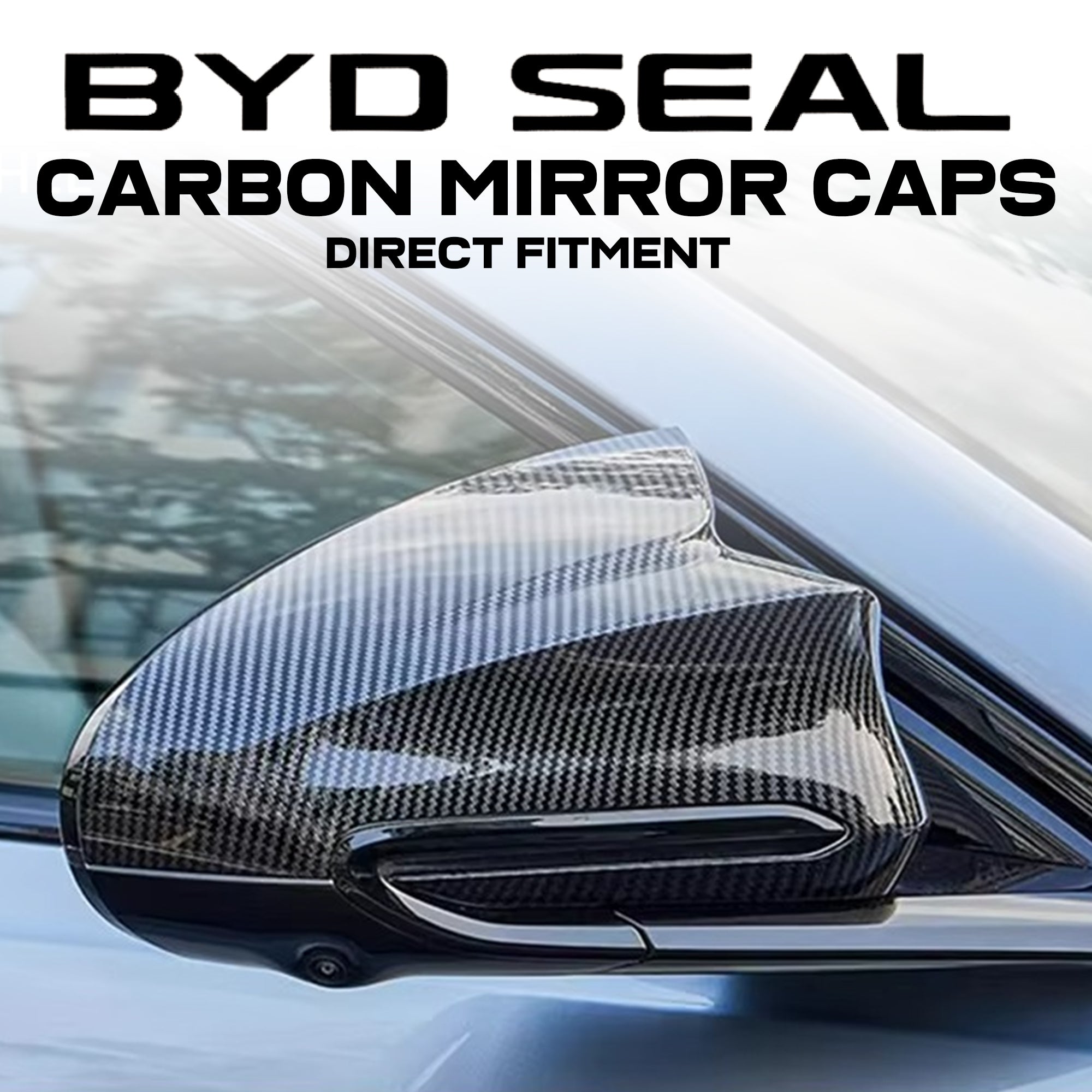 Seal Carbon Mirror Caps